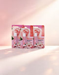 Bálsamo Labial de Rosa Miss Vanessa G5041 (6PCS)